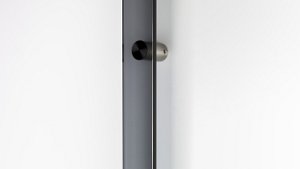z21